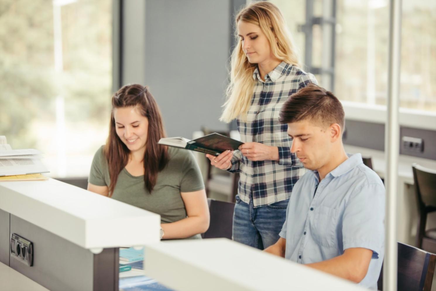 Finanzanalyse Workshops